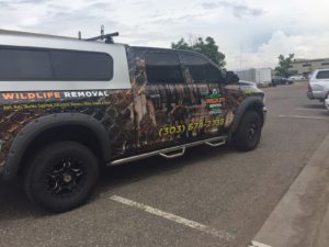 Wildlife truck headed to a service call in Morrisson Colorado