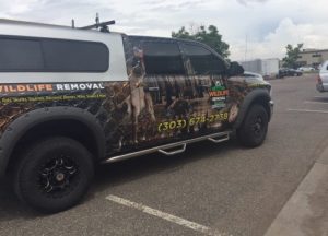 AAAC Wildlife Removal truck